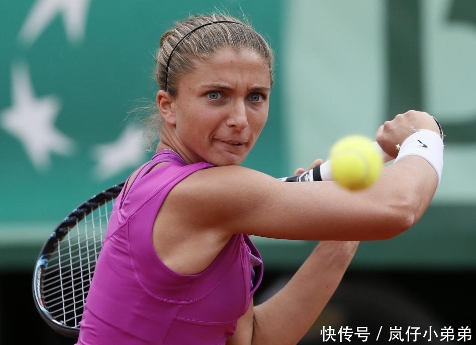 定性因素 定性因素