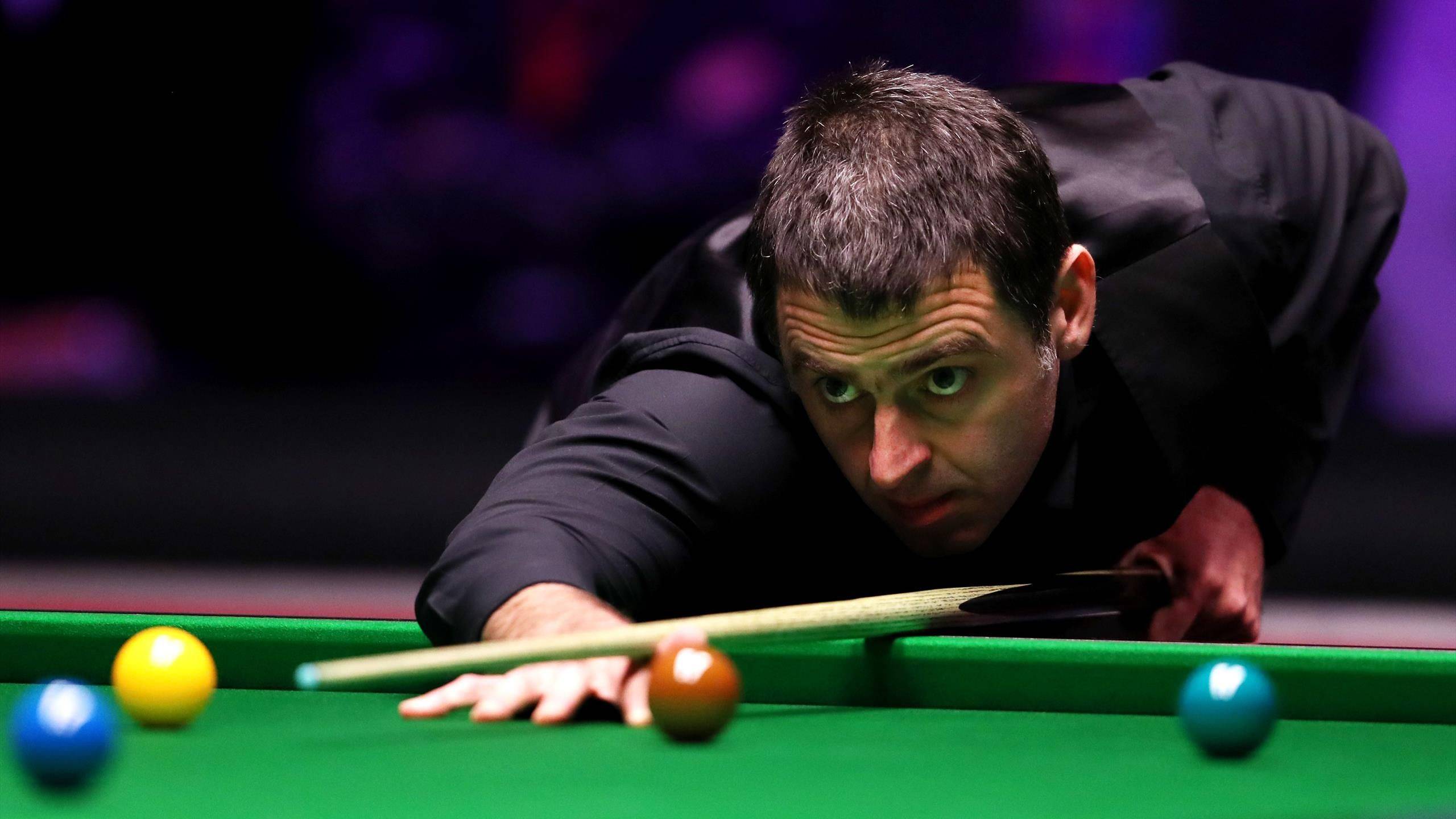 在体育世界 在体育世界