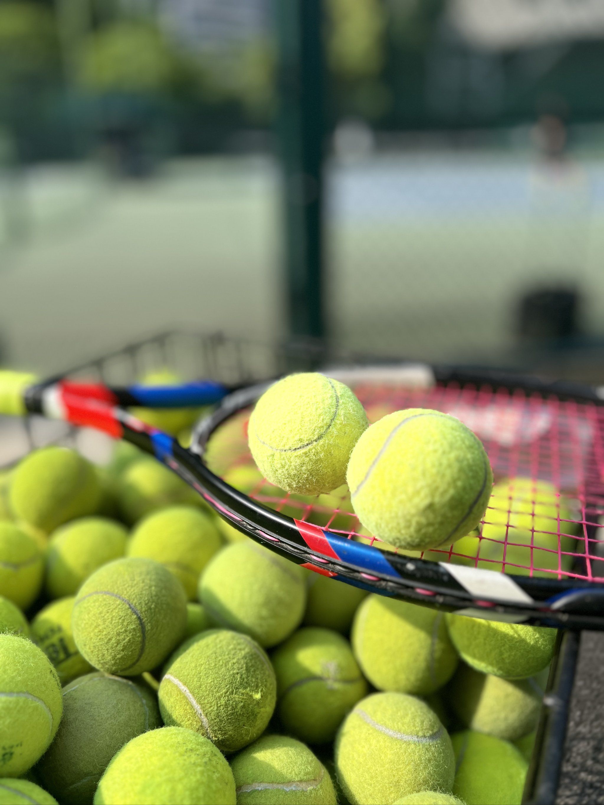 体系的契合 体系的契合