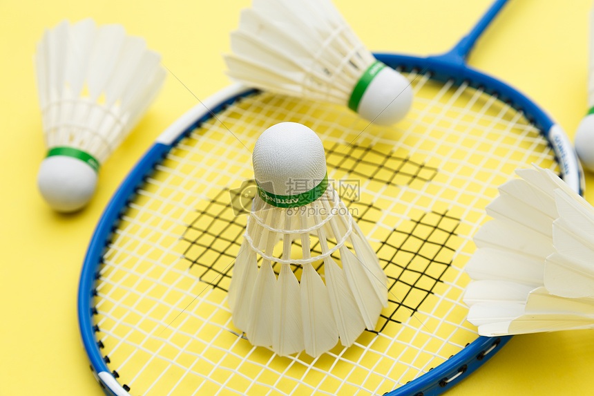 与之相似 与之相似